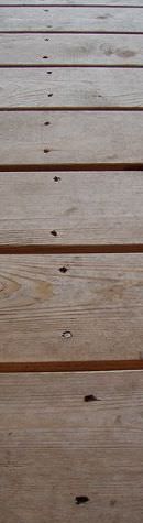 tn_200962819468_deck%20board%20nails%202.jpg