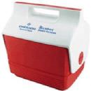tn_20103719423_6packcooler.jpg