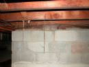 tn_20115985829_Termites%20in%20Crawlspace%20(2).jpg