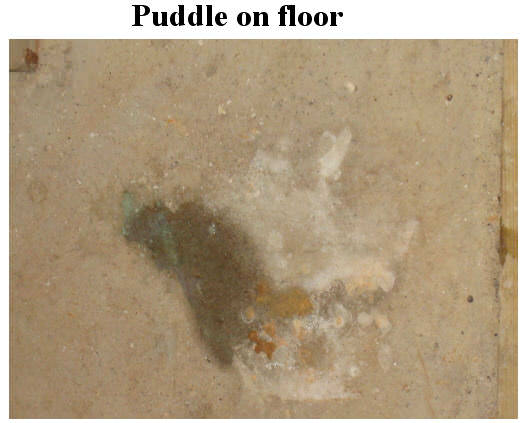 2008102212020_FurnacePuddleOnFloor.jpg