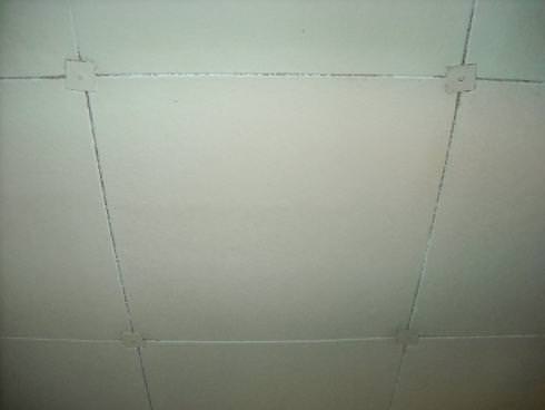 2008929224255_CeilingTile1.jpg