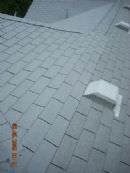 tn_200958193255_roof2.jpg
