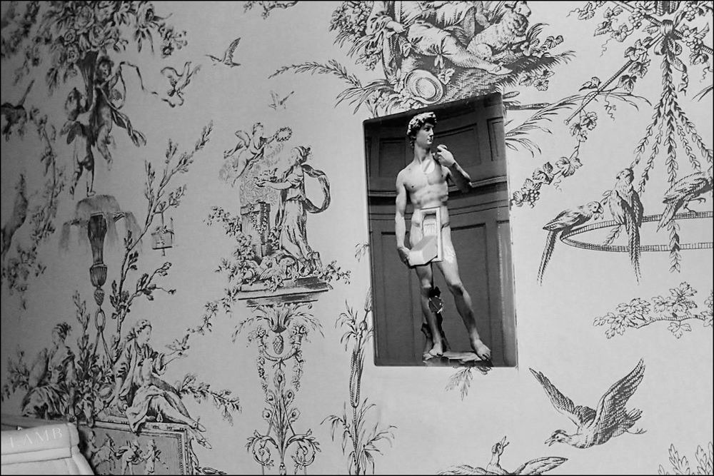 greek switch 4x6 sig.jpg