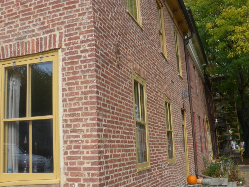 P1120389 (Medium).JPG