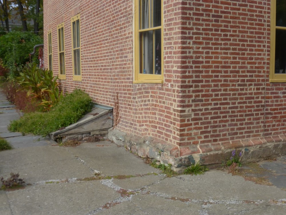 P1120387 (Medium).JPG