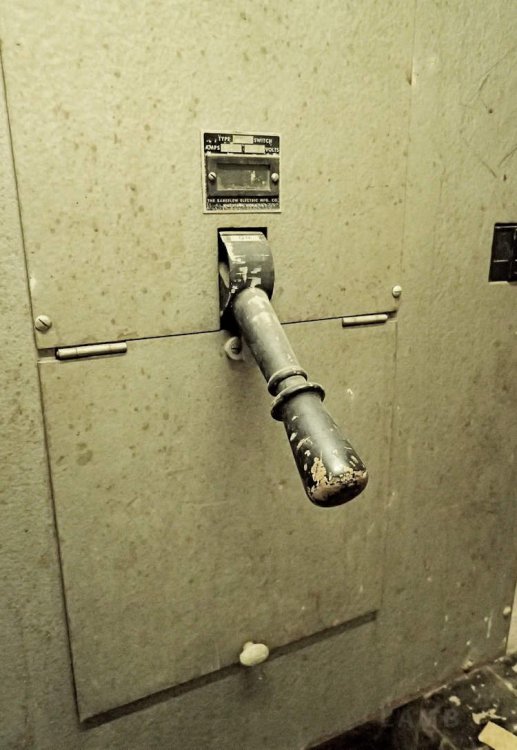 electric handle sig.jpg