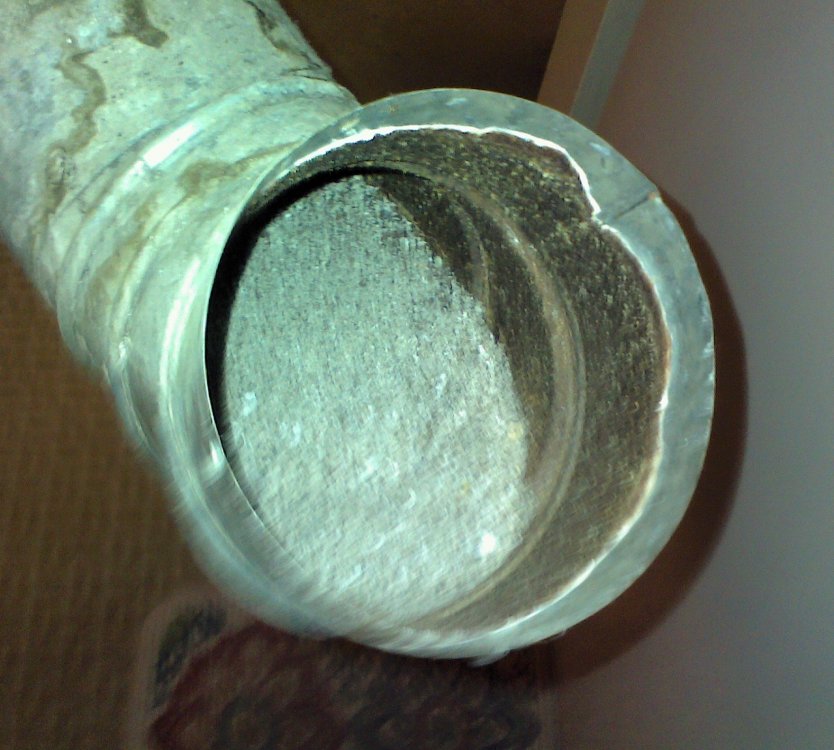 elbow full of salt.jpg