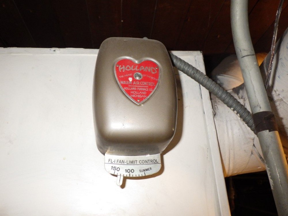 RIMG0139 (Medium).JPG